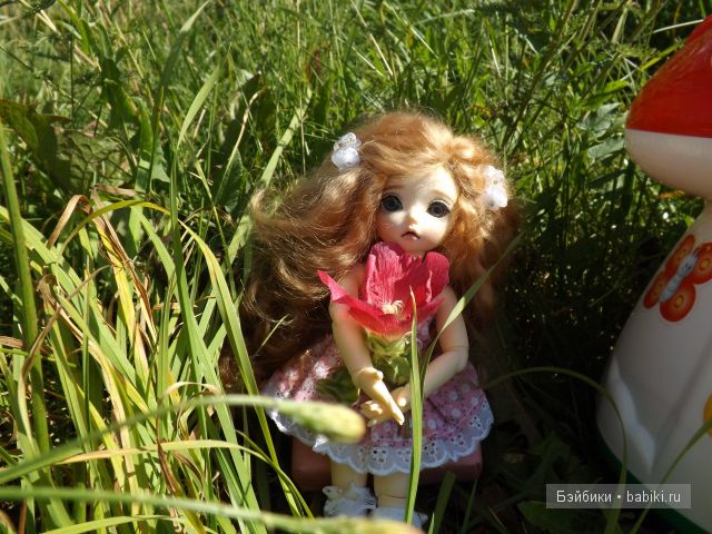 БЖД пукифи. БЖД пукифи.