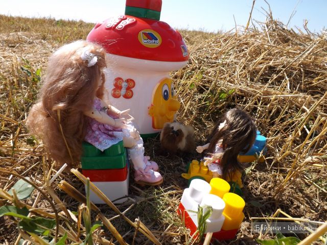 БЖД пукифи. БЖД пукифи.