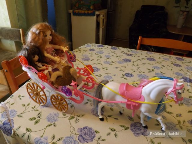 БЖД пукифи. БЖД пукифи.