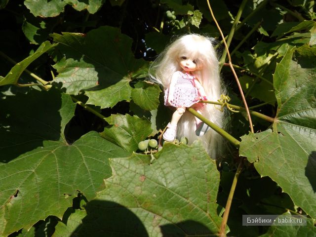 БЖД пукифи. БЖД пукифи.