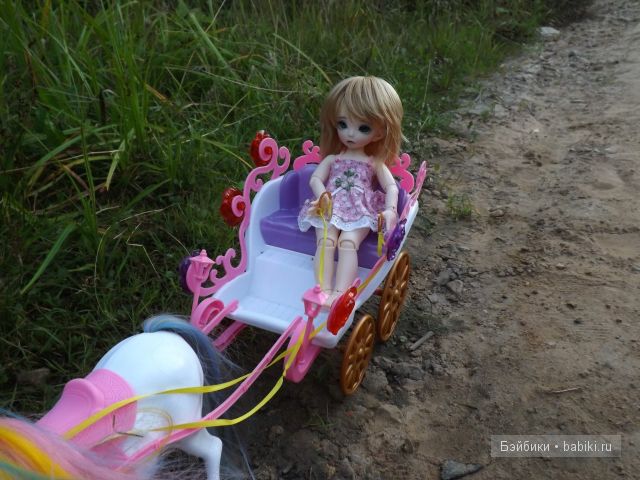 БЖД пукифи. БЖД пукифи.