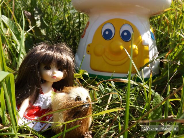 БЖД пукифи. БЖД пукифи.