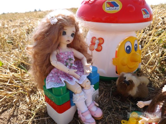 БЖД пукифи. БЖД пукифи.