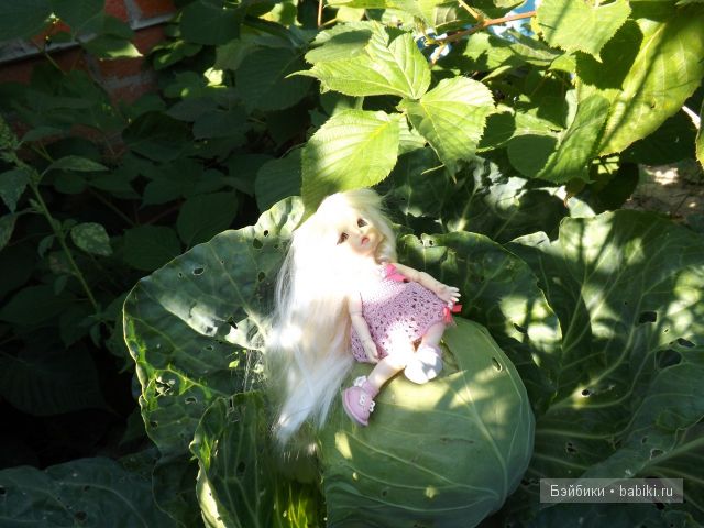 БЖД пукифи. БЖД пукифи.