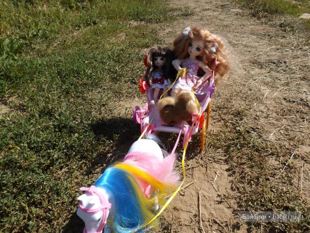 БЖД пукифи. БЖД пукифи.