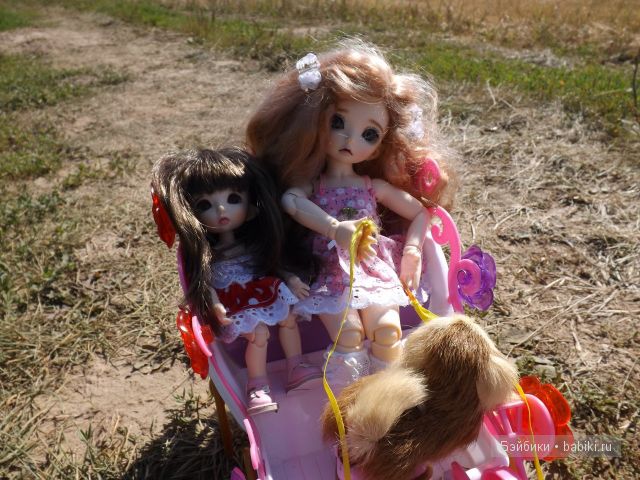 БЖД пукифи. БЖД пукифи.