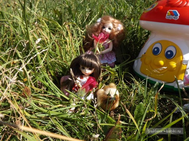 БЖД пукифи. БЖД пукифи.