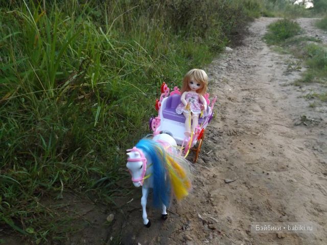 БЖД пукифи. БЖД пукифи.