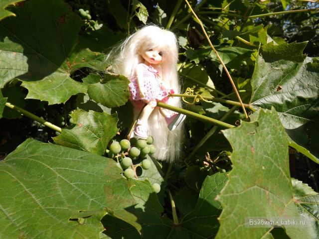 БЖД пукифи. БЖД пукифи.