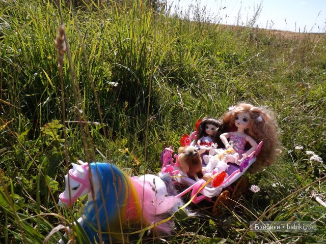 БЖД пукифи. БЖД пукифи.