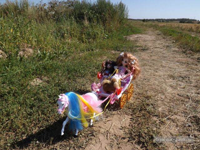 БЖД пукифи. БЖД пукифи.