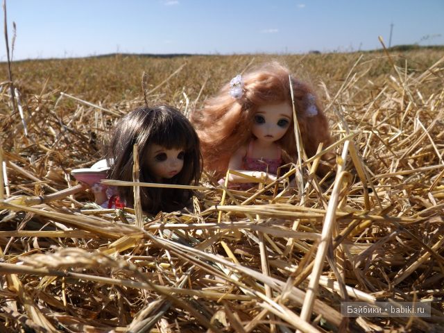 БЖД пукифи. БЖД пукифи.