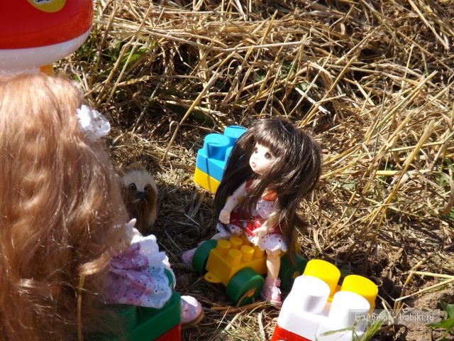 БЖД пукифи. БЖД пукифи.