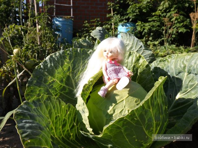 БЖД пукифи. БЖД пукифи.