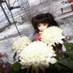 Красавица-Элин,девочка принцесса.