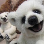 Мишки тедди