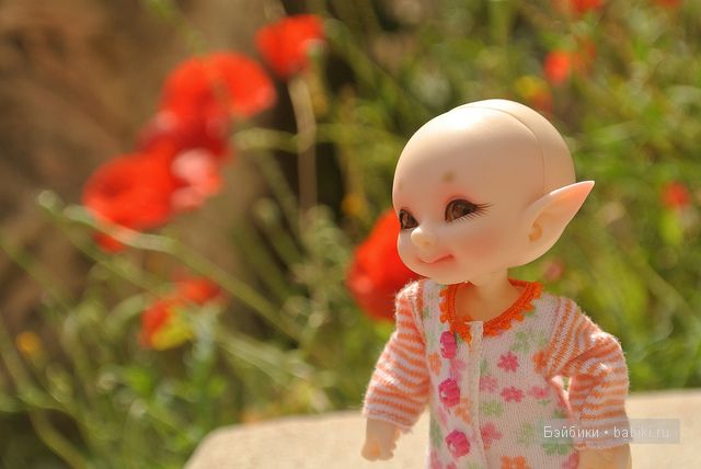 Путешествие по Израилю