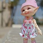 Путешествие Аришки по Израилю