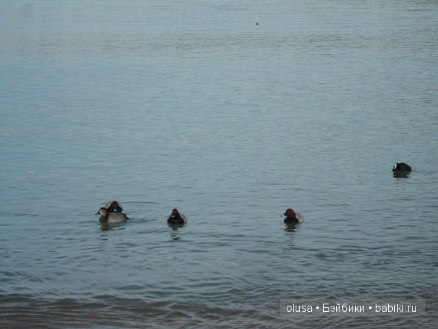 Какая бывает зима? Ева от Антонио Хуан (фото 4)