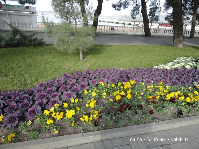 Какая бывает зима? Ева от Антонио Хуан