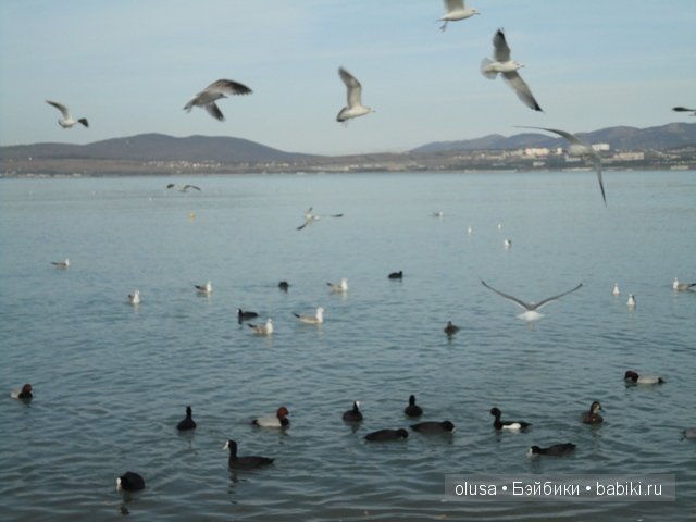 Какая бывает зима? Ева от Антонио Хуан (фото 5)