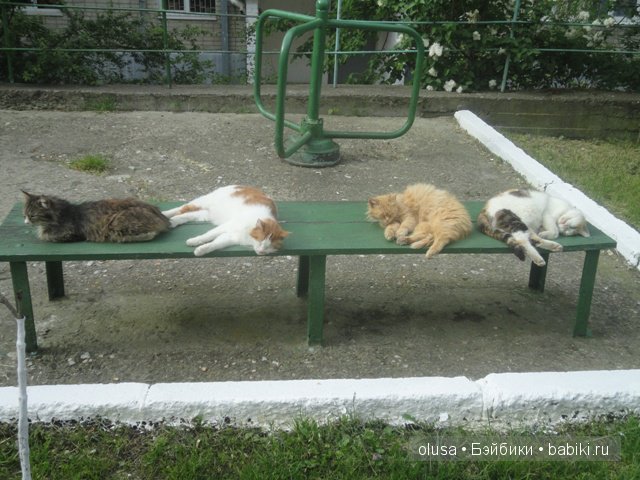 Моя малышка Кристюшка — Куклы Реборн (Reborn): домашние фото