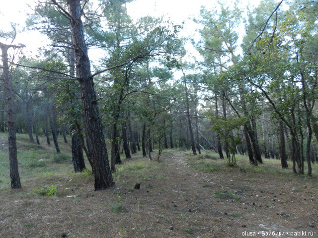 Мы вчера в лесу гуляли | Бэйбики Мы вчера в лесу гуляли — Коллекционные куклы разных авторов (Разное): редкие бренды