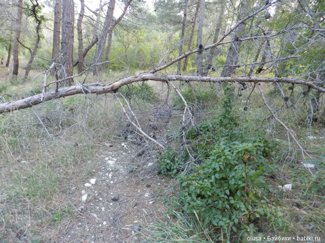 Мы вчера в лесу гуляли | Бэйбики Мы вчера в лесу гуляли — Коллекционные куклы разных авторов (Разное): редкие бренды