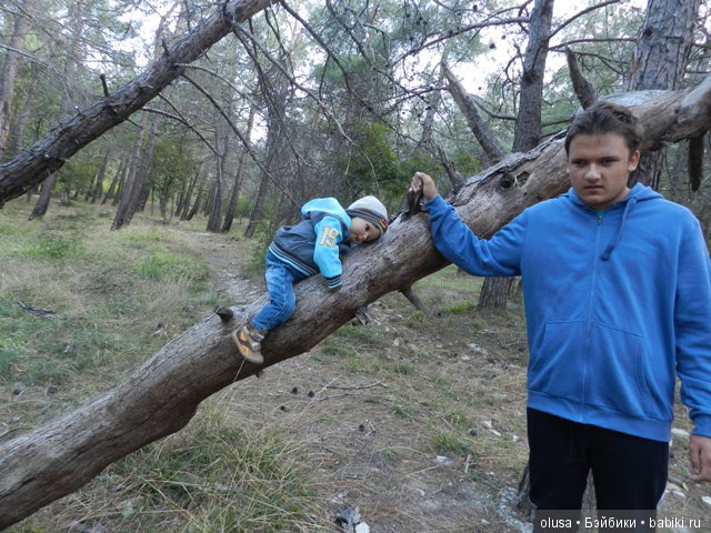 Мы вчера в лесу гуляли | Бэйбики Мы вчера в лесу гуляли — Коллекционные куклы разных авторов (Разное): редкие бренды
