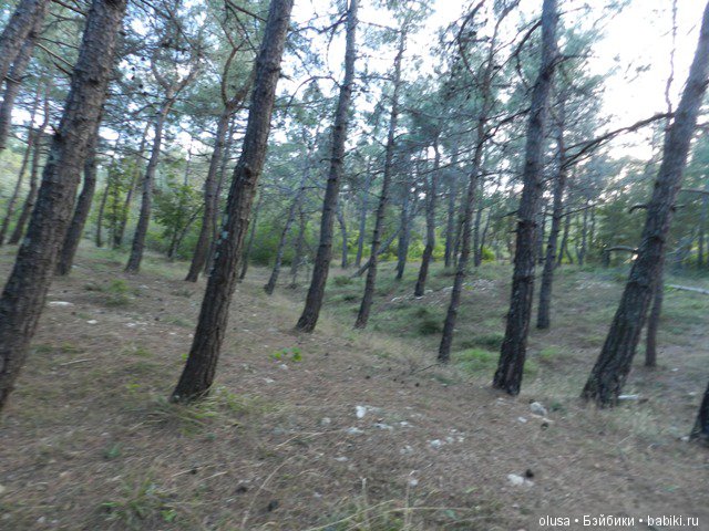 Мы вчера в лесу гуляли | Бэйбики Мы вчера в лесу гуляли — Коллекционные куклы разных авторов (Разное): редкие бренды