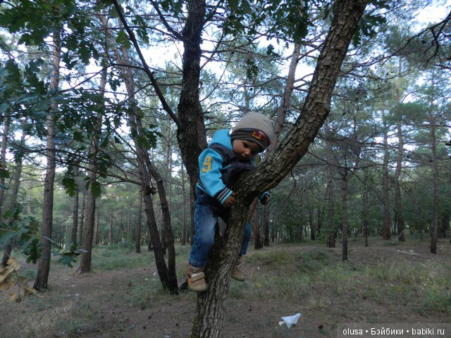 Мы вчера в лесу гуляли | Бэйбики Мы вчера в лесу гуляли — Коллекционные куклы разных авторов (Разное): редкие бренды
