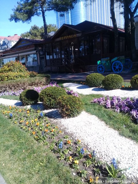 Весенние цветы — Красивая природа и цветы: фото пейзажей