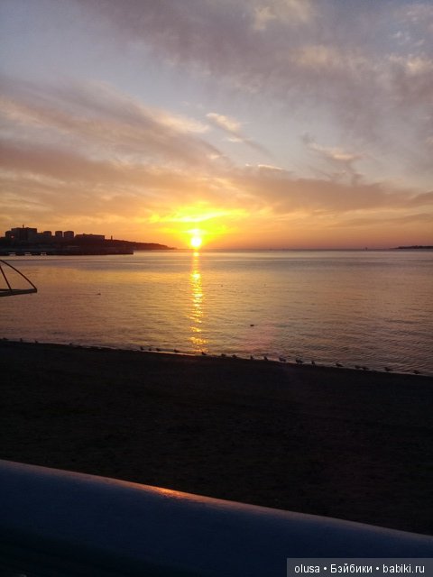 Весенние цветы — Красивая природа и цветы: фото пейзажей