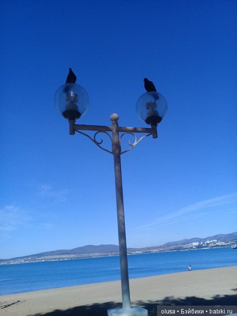 Весенние цветы — Красивая природа и цветы: фото пейзажей (фото 4)