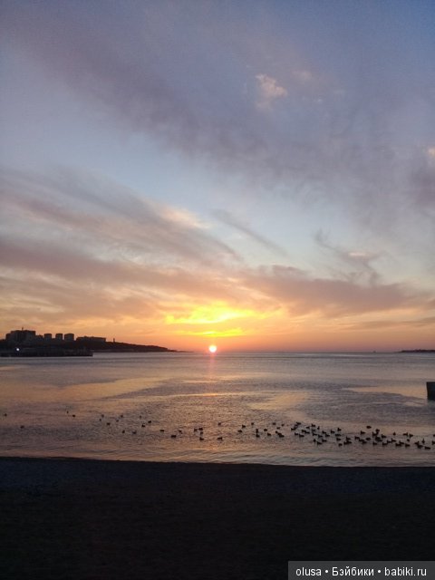 Весенние цветы — Красивая природа и цветы: фото пейзажей (фото 2)