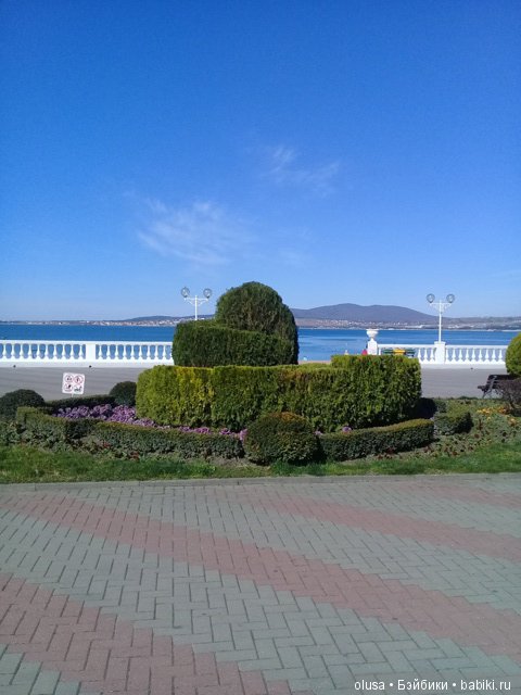 Весенние цветы — Красивая природа и цветы: фото пейзажей (фото 10)