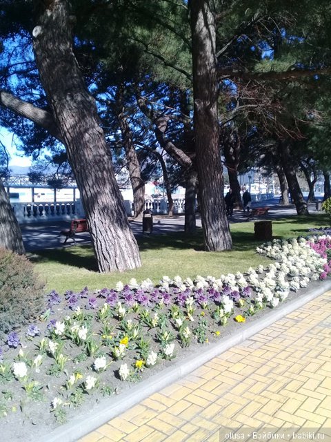 Весенние цветы — Красивая природа и цветы: фото пейзажей (фото 9)