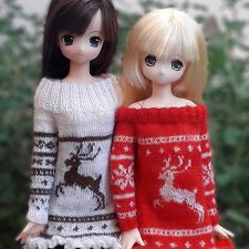 Зимние платья для кукол Azone Pure Neeno