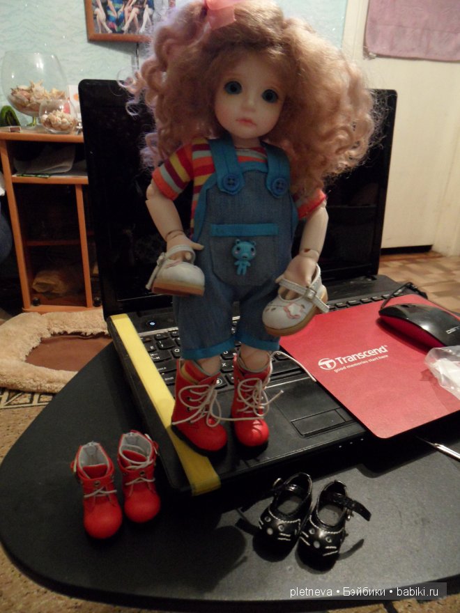 Моя "непрестижная" и такая милая детка Шаби от Долмор-Таточка