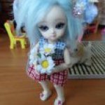 Как мы гостью встречали