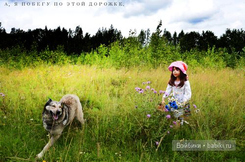 Сказка о Красной шапочке и сером волке