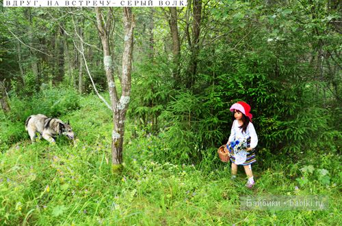 Сказка о Красной шапочке и сером волке