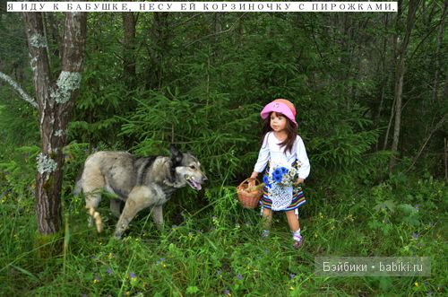 Сказка о Красной шапочке и сером волке