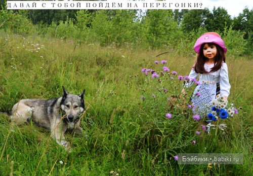 Сказка о Красной шапочке и сером волке