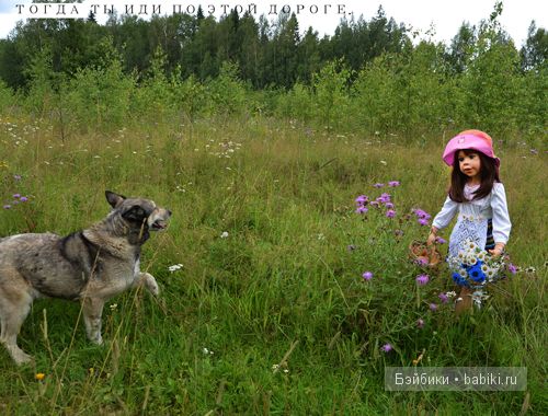 Сказка о Красной шапочке и сером волке