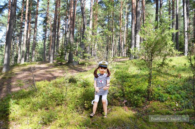 Воспоминания о лете - Селигер