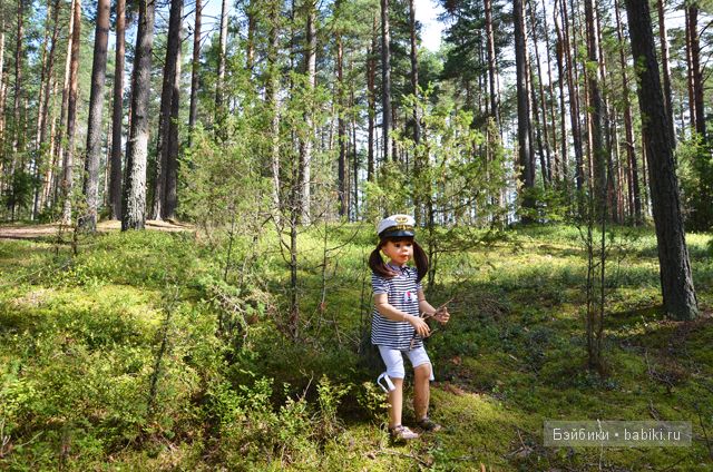 Воспоминания о лете - Селигер