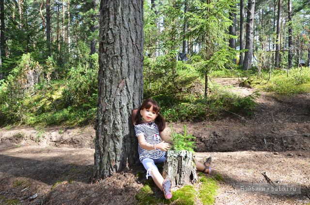 Воспоминания о лете - Селигер