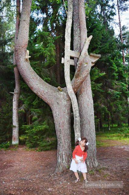 Воспоминания о лете - Селигер