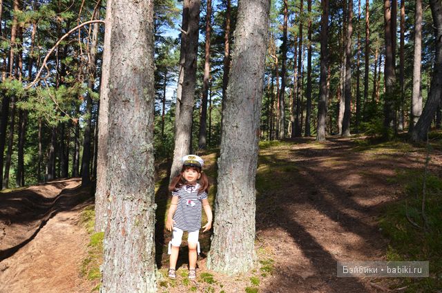 Воспоминания о лете - Селигер
